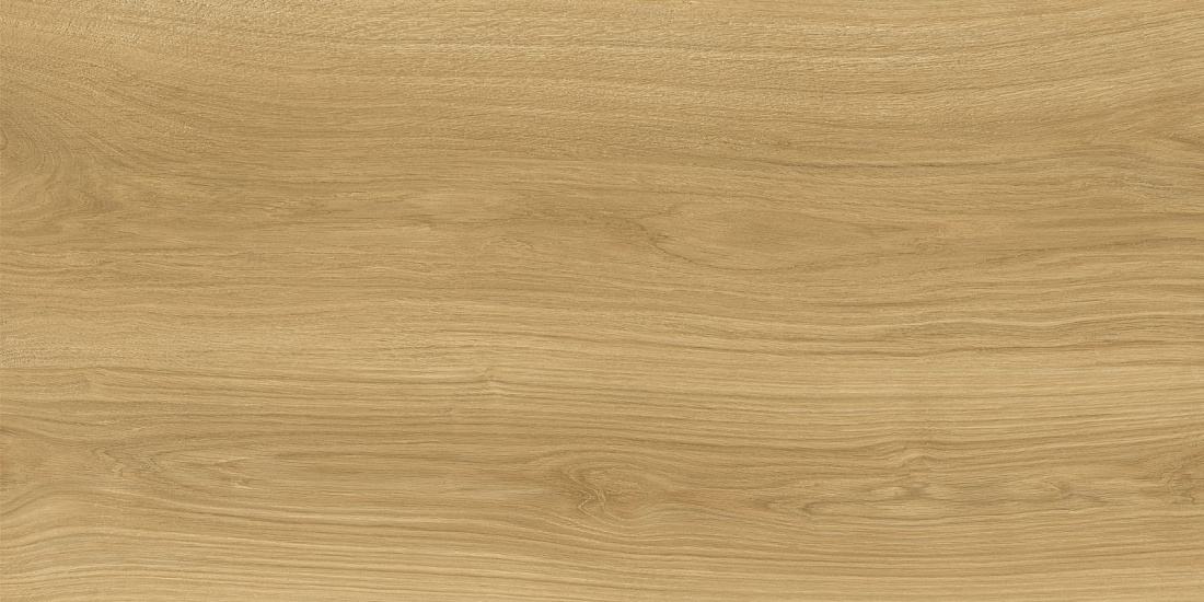 Дориан Керамогранит янтарный LP6012G0821R8 59,5х119,1 матовый+гл.чернила