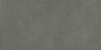 Авангард Блэк 60X120 Рет