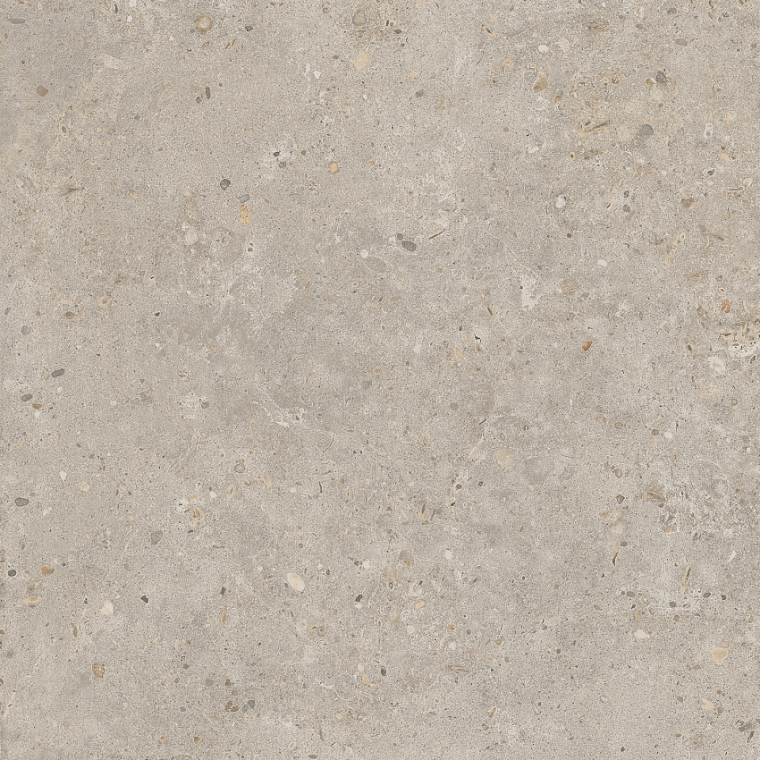Риккарди Керамогранит бежевый матовый обрезной SG653820R 60x60