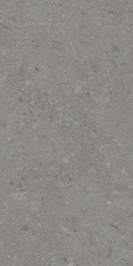 Чеппо ди Гре Керамогранит серый тёмный матовый обрезной DD507920R 60x119,5