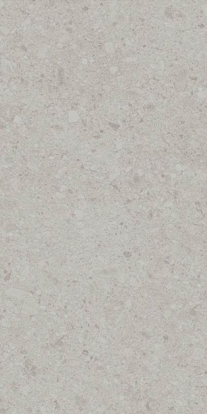 Чеппо ди Гре Керамогранит серый светлый матовый обрезной DD507620R 60x119,5