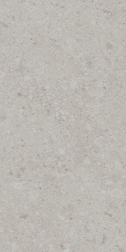 Чеппо ди Гре Керамогранит серый светлый матовый обрезной DD507620R 60x119,5