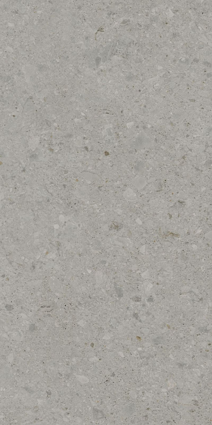 Чеппо ди Гре Керамогранит серый матовый обрезной DD507820R 60x119,5