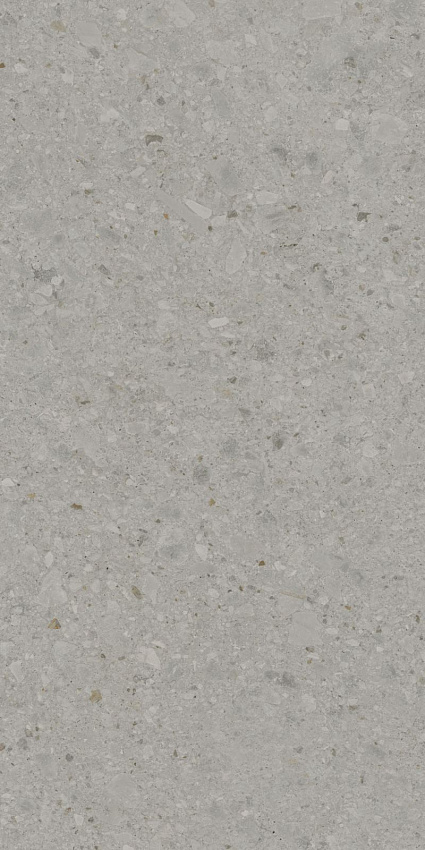 Чеппо ди Гре Керамогранит серый матовый обрезной DD507820R 60x119,5
