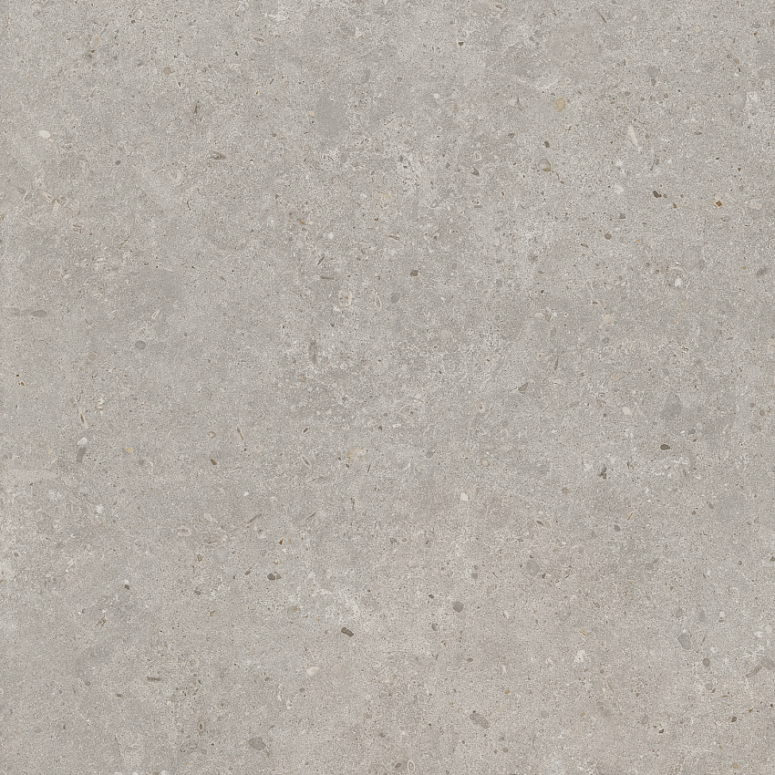 Риккарди Керамогранит серый светлый матовый обрезной SG653720R 60x60