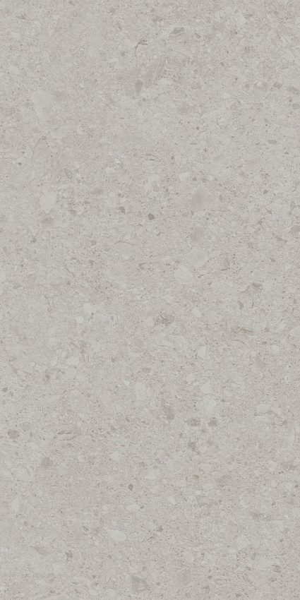 Чеппо ди Гре Керамогранит серый светлый матовый обрезной DD507620R 60x119,5
